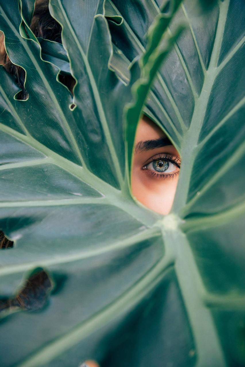 A focused eye seen through sculptural green leaves